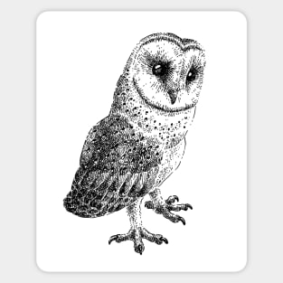 Owl drawing Sticker